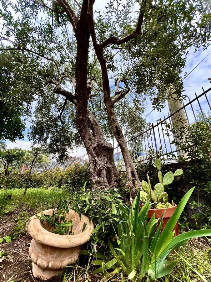 Casa Vacanze "Sautufao" Santa Venerina Luaran gambar