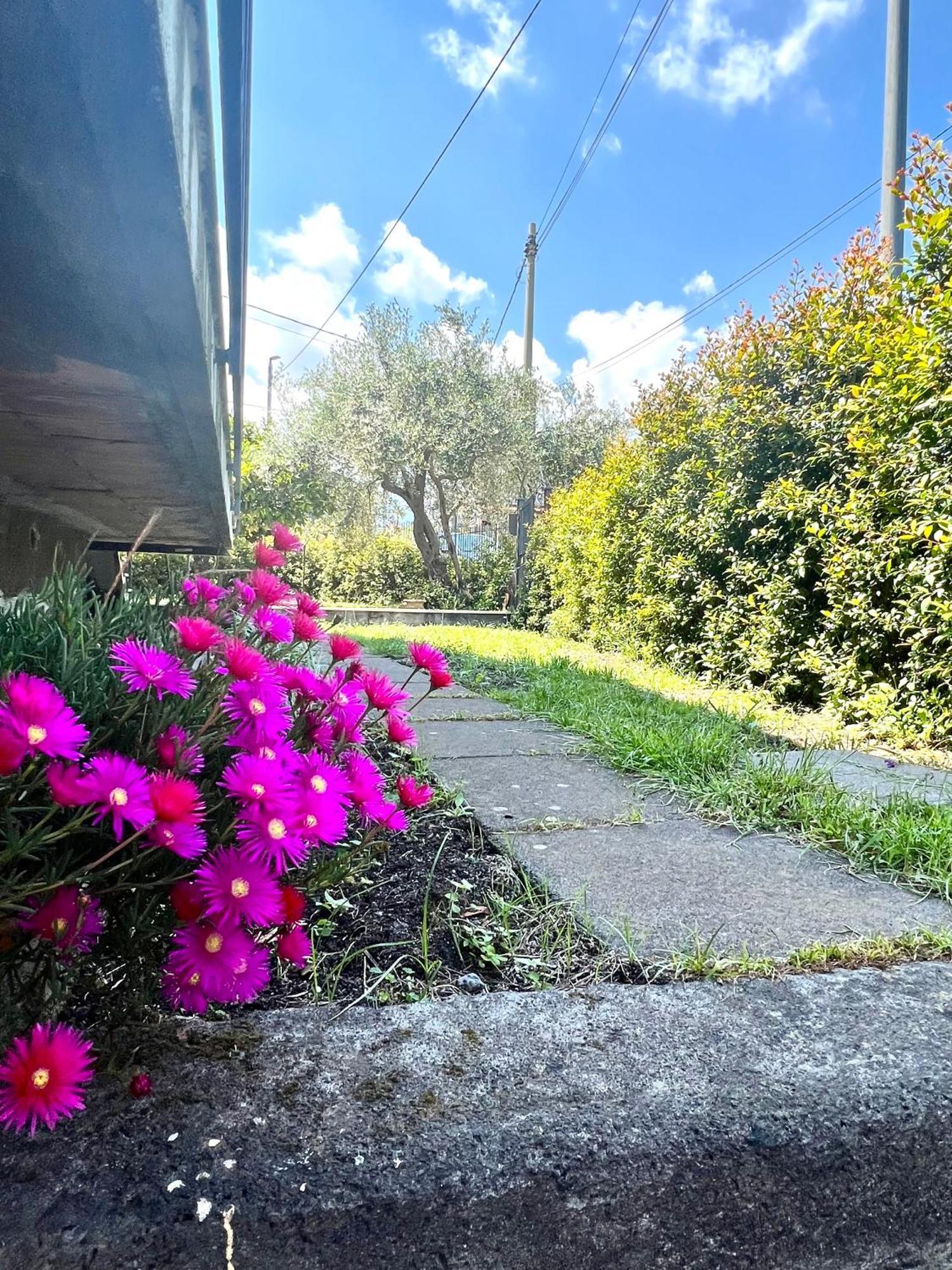 Casa Vacanze "Sautufao" Santa Venerina Luaran gambar